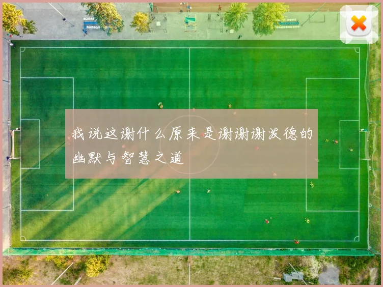 我说这谢什么原来是谢谢谢泼德的幽默与智慧之道