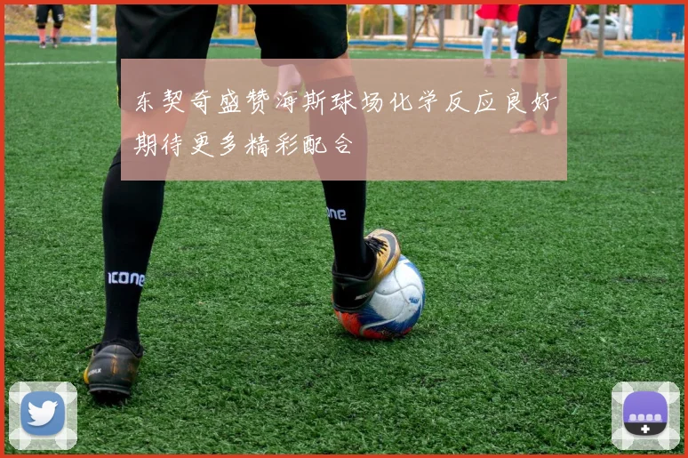 东契奇盛赞海斯球场化学反应良好期待更多精彩配合