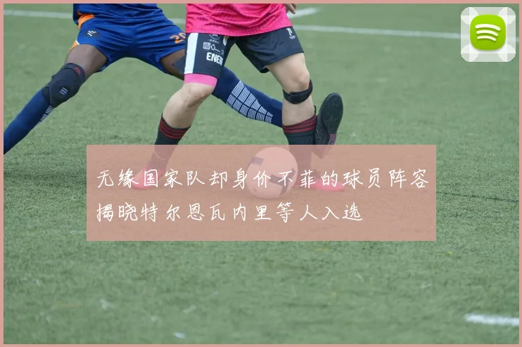无缘国家队却身价不菲的球员阵容揭晓特尔恩瓦内里等人入选