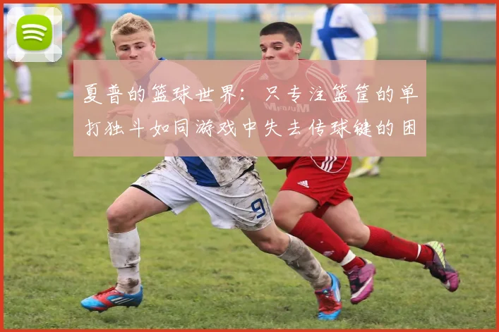 夏普的篮球世界：只专注篮筐的单打独斗如同游戏中失去传球键的困境